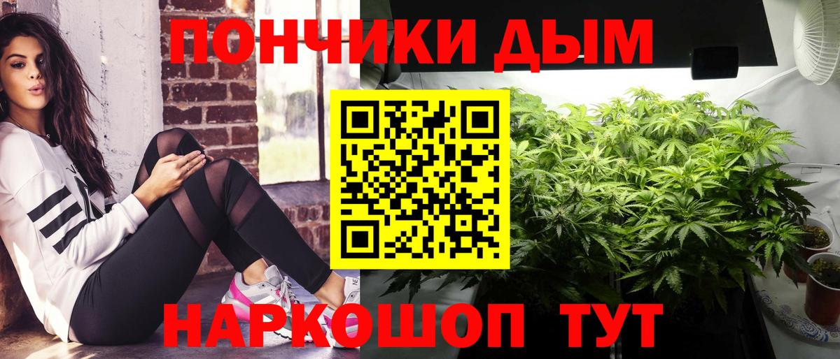 Шишки марихуана марихуана  Вход с VPN  Канабис планчик  Заволжье 
